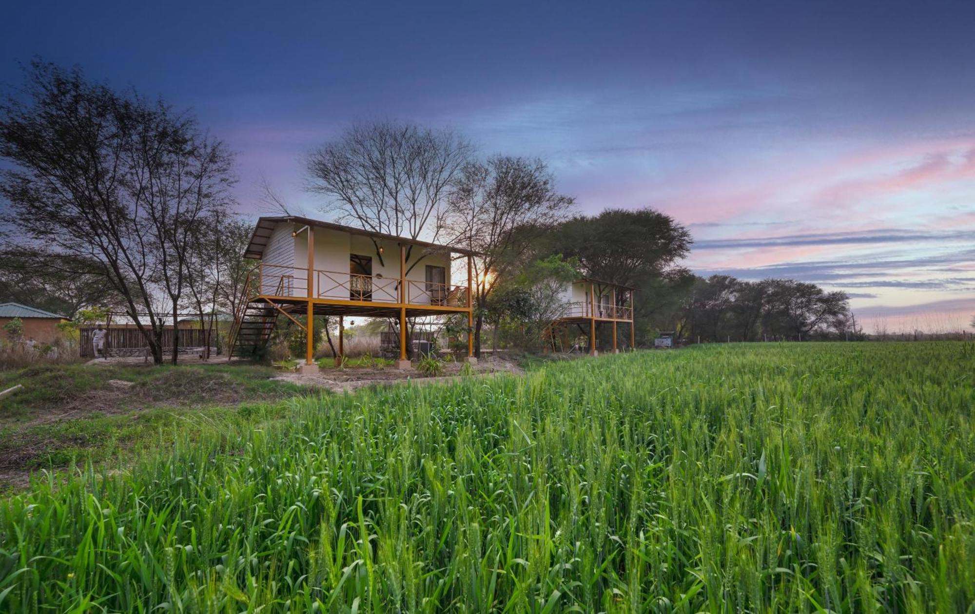 Bagh Serai - Rustic Cottage With Private Pool Sawai Madhopur Eksteriør billede